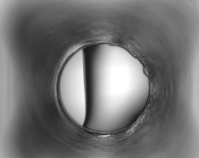 X0000093750054200710160818