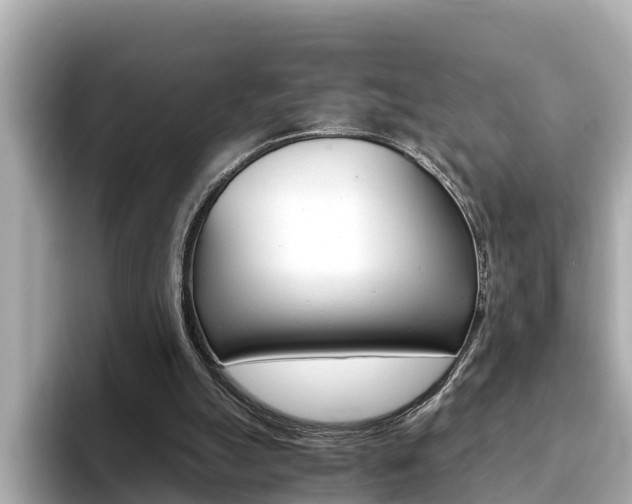 X0000093750055200710160818