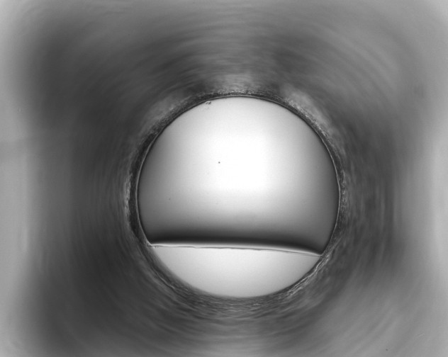 X0000093750058200710160818