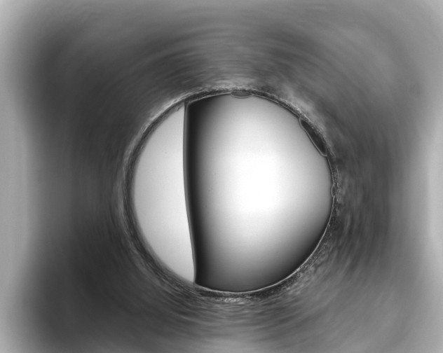 X0000093750060200710160818