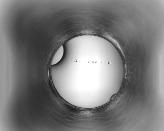 X0000093750061200710160818