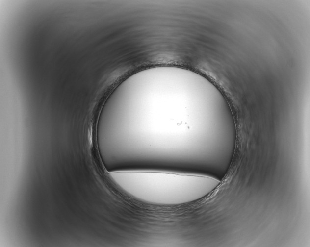 X0000093750062200710160818