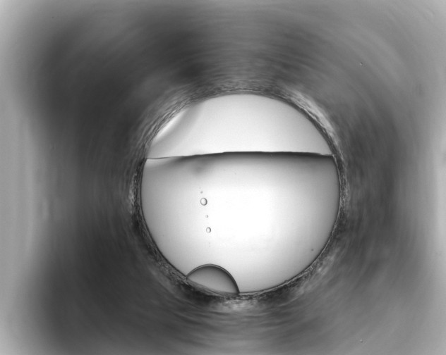X0000093750065200710160819
