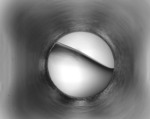 X0000093750066200710160819