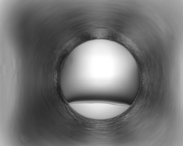 X0000093750073200710160819
