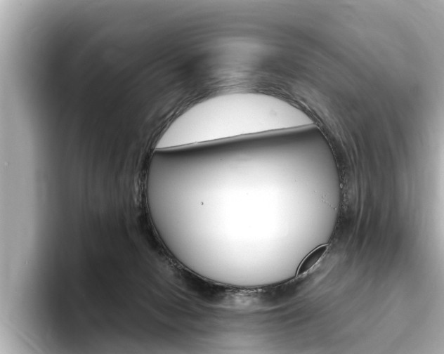 X0000093750078200710160819