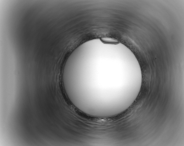 X0000093750083200710160819