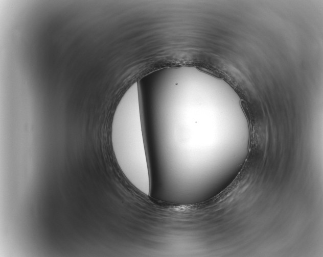 X0000093750092200710160819