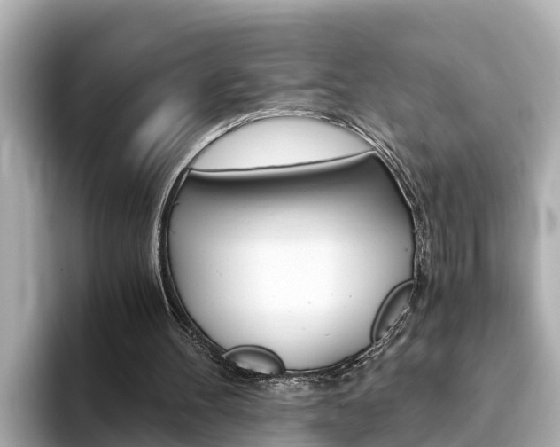 X0000093750100200710160818