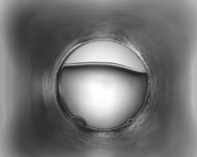X0000093750103200710160818