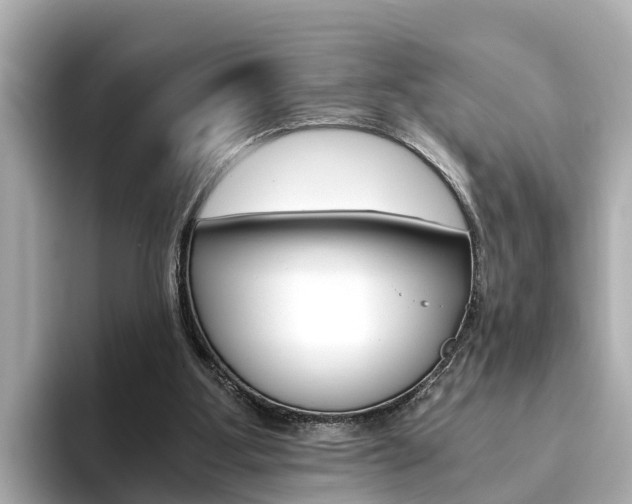 X0000093750107200710160818