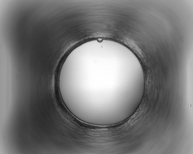 X0000093750108200710160818