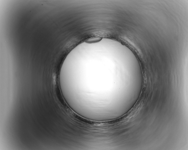 X0000093750117200710160818