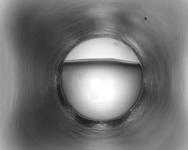 X0000093750119200710160818