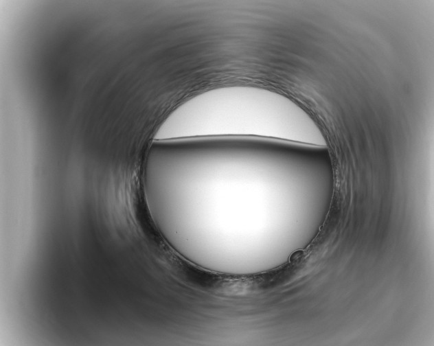 X0000093750127200710160818