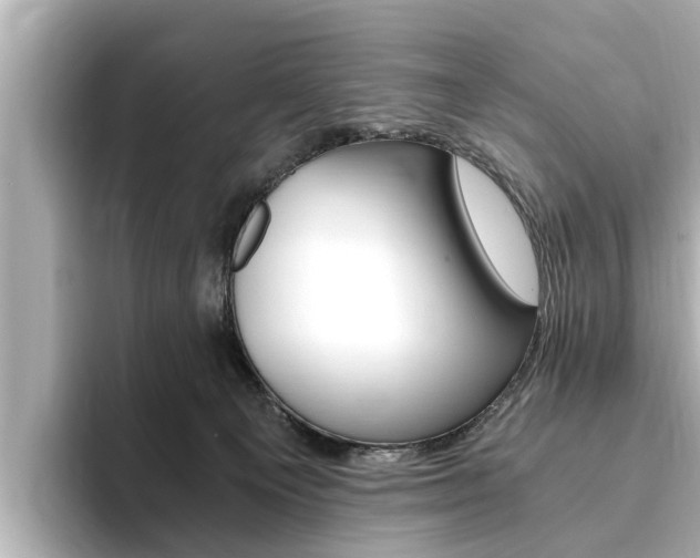 X0000093750129200710160818