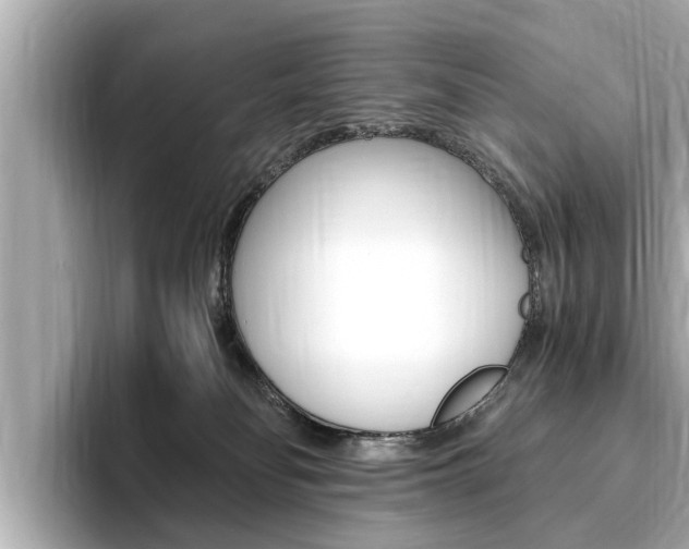 X0000093750134200710160818