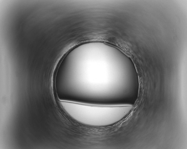 X0000093750148200710160817