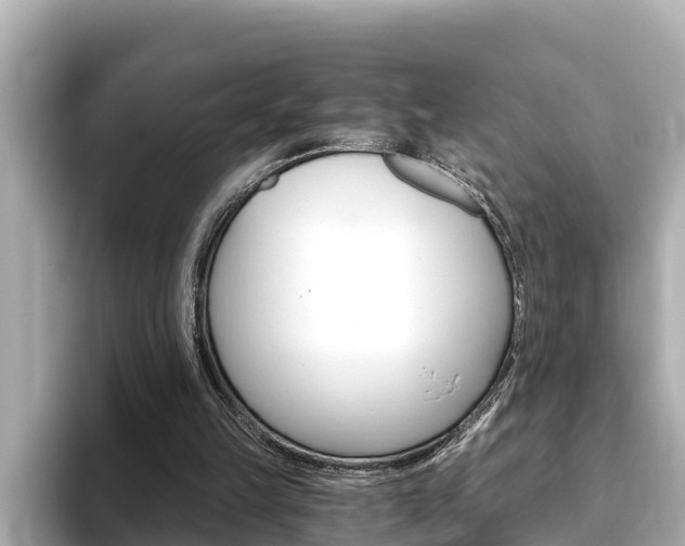 X0000093750149200710160817