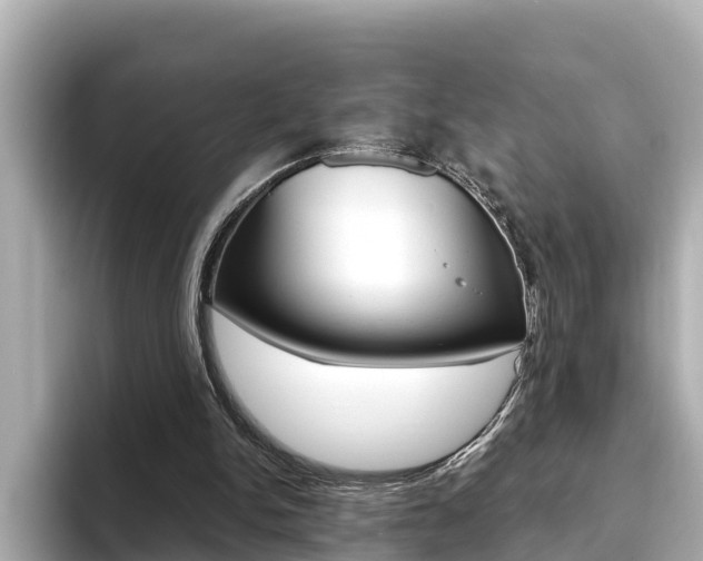 X0000093750150200710160817
