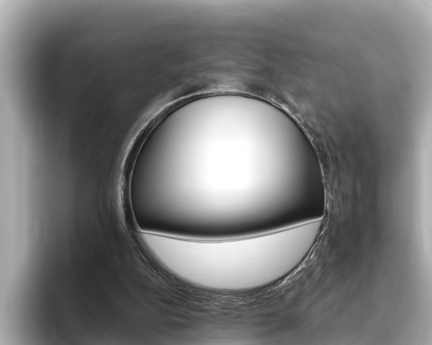 X0000093750152200710160817