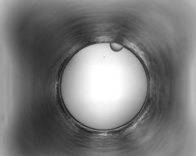 X0000093750153200710160817