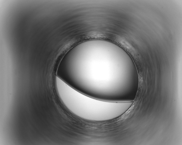 X0000093750158200710160817