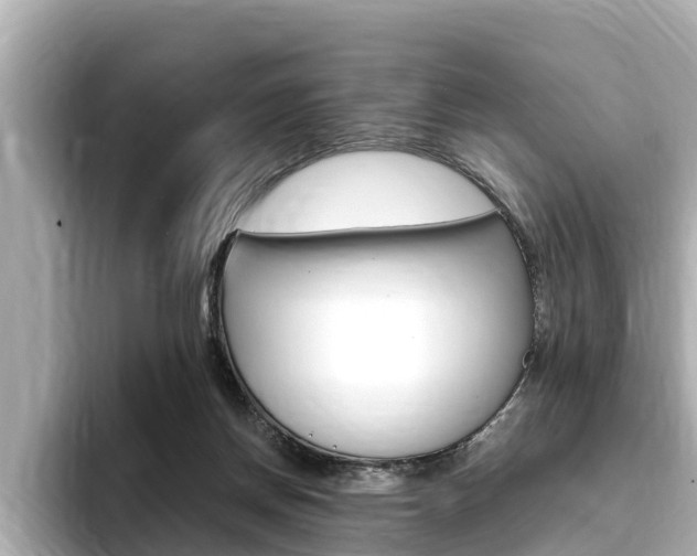 X0000093750166200710160817