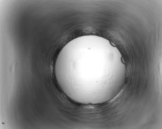 X0000093750183200710160818