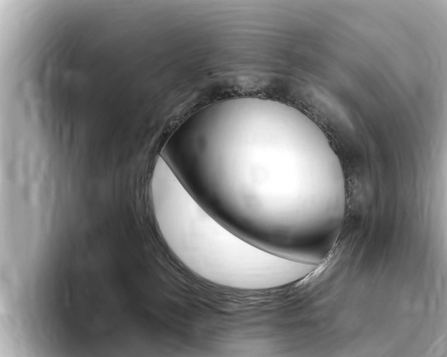 X0000093750184200710160818