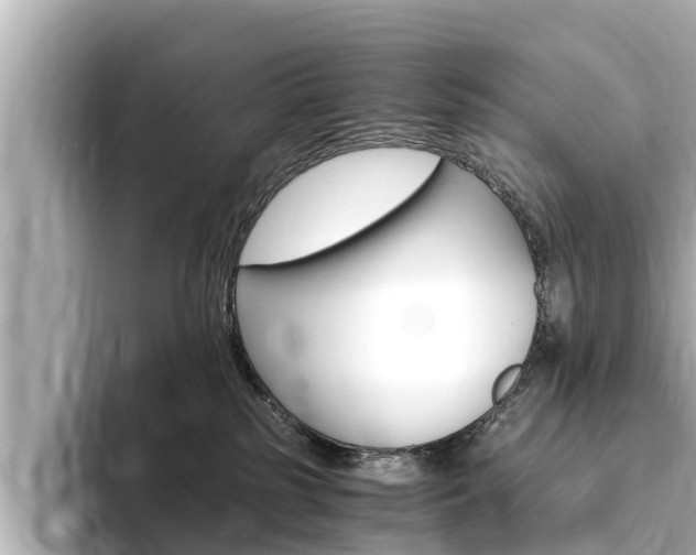 X0000093750185200710160818