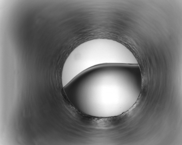 X0000093750186200710160818