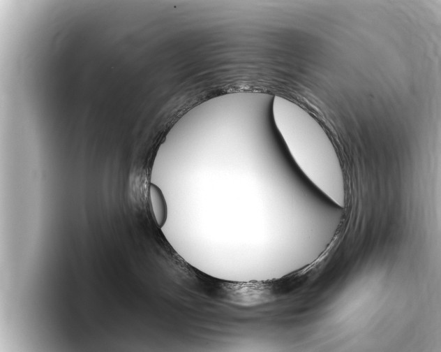 X0000093750191200710160818