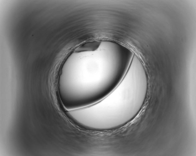 X0000093750193200710160817