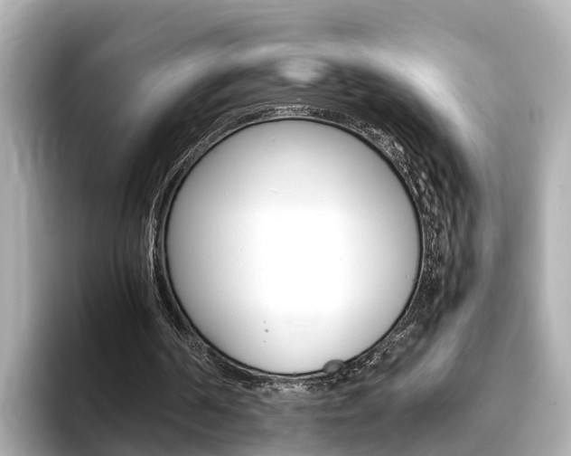 X0000093750194200710160817