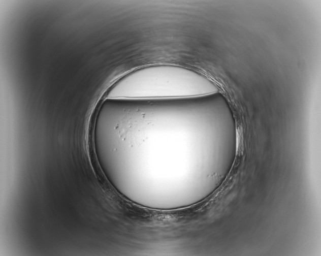 X0000093750195200710160817