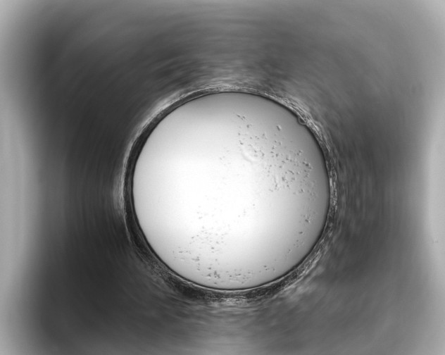 X0000093750196200710160817