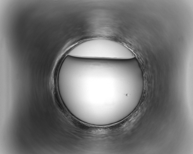 X0000093750198200710160817
