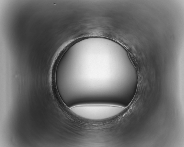 X0000093750200200710160817
