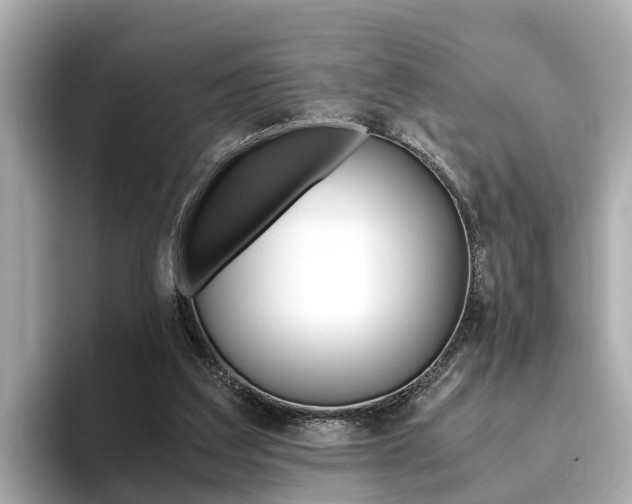 X0000093750203200710160817