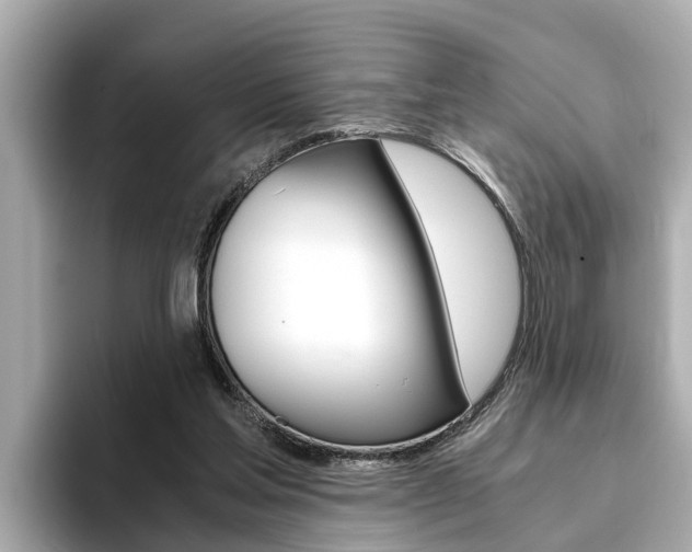 X0000093750205200710160817