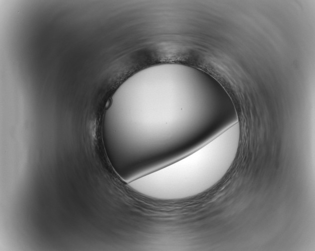 X0000093750219200710160817