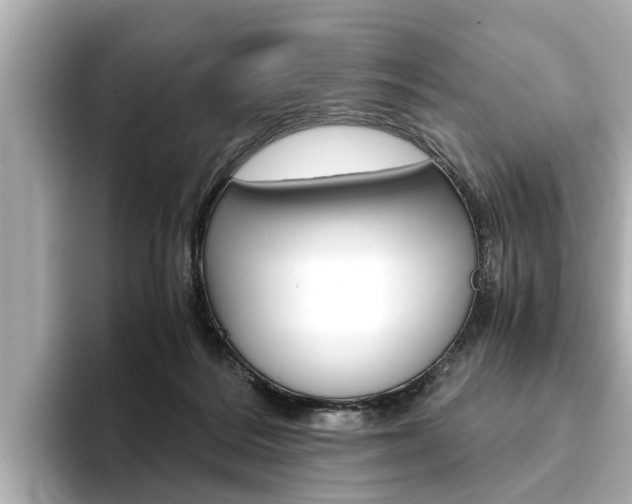 X0000093750220200710160817