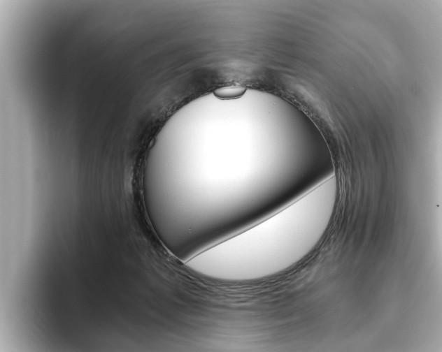 X0000093750221200710160817