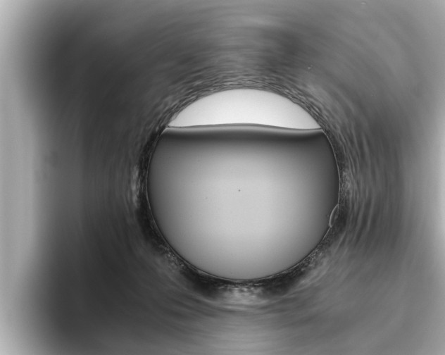 X0000093750223200710160817