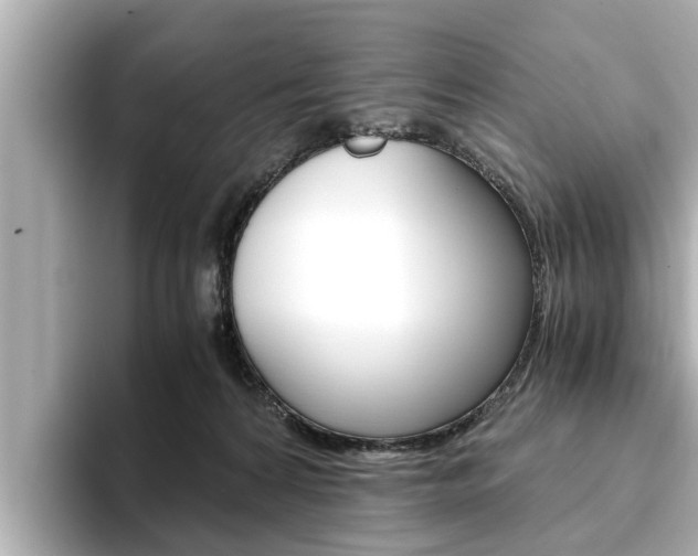 X0000093750224200710160817