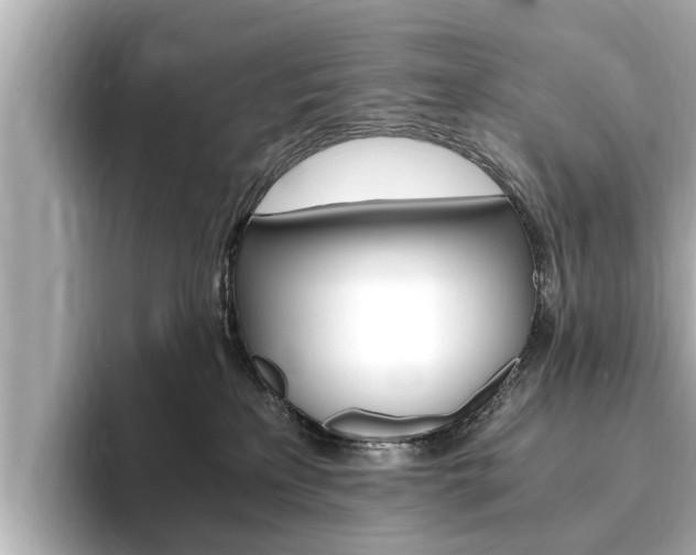 X0000093750233200710160817