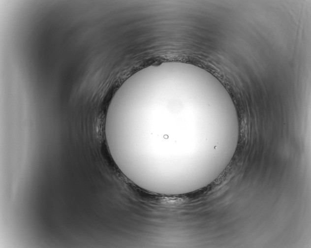 X0000093750234200710160817