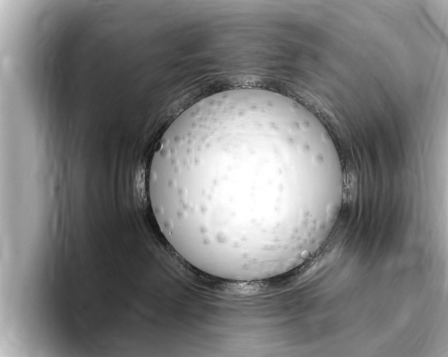 X0000093750238200710160816