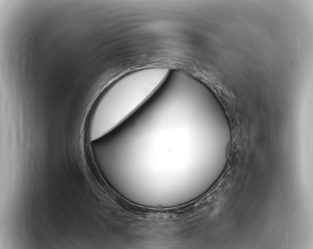 X0000093750242200710160816